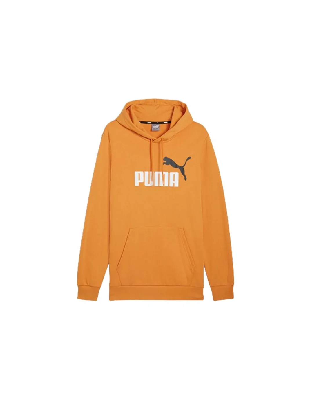 Sudadera Puma Essentials+ 2 Col Big Hombre Gris