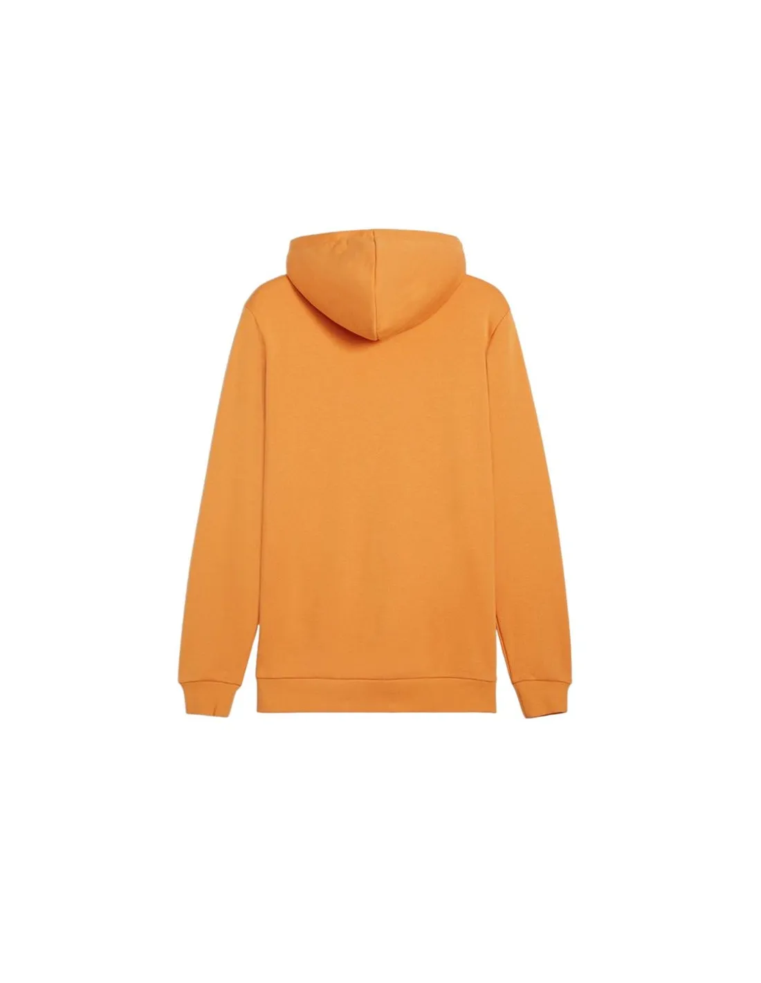 Sudadera Puma Essentials+ 2 Col Big Hombre Gris